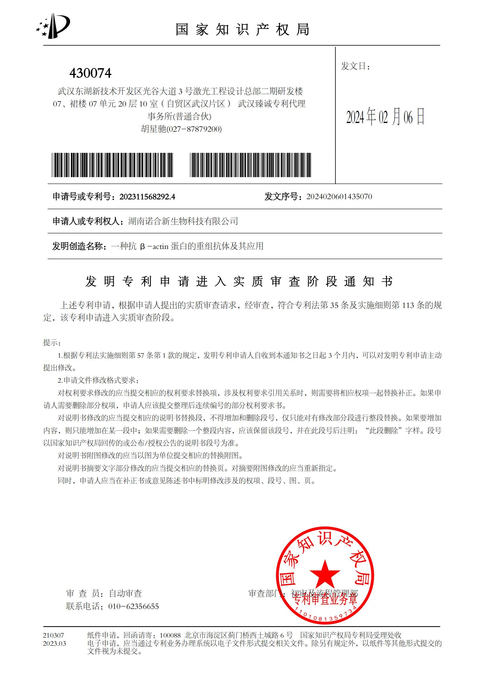 一种抗&beta;-actin蛋白的重组抗体及其应用