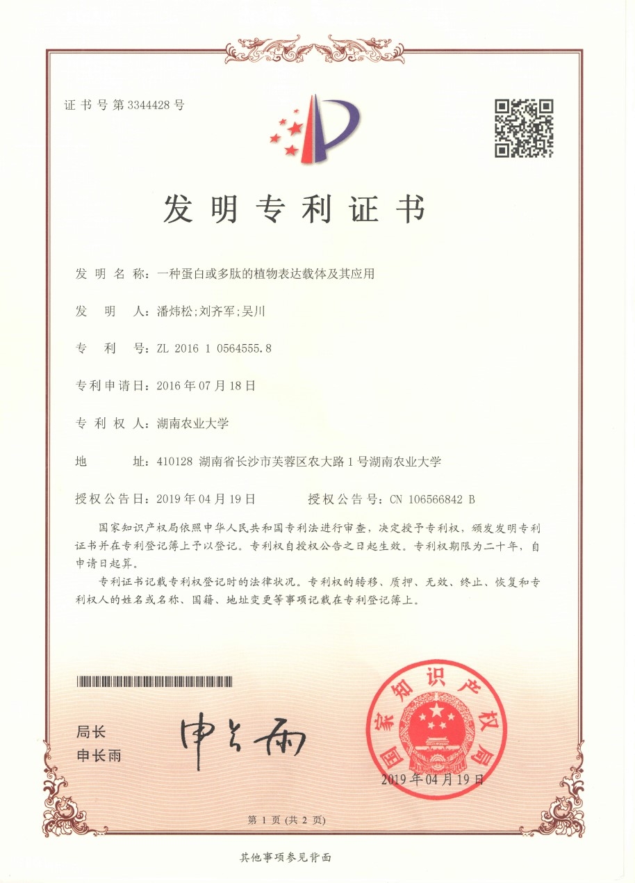 一种蛋白或多肽的植物表达载体及其应用