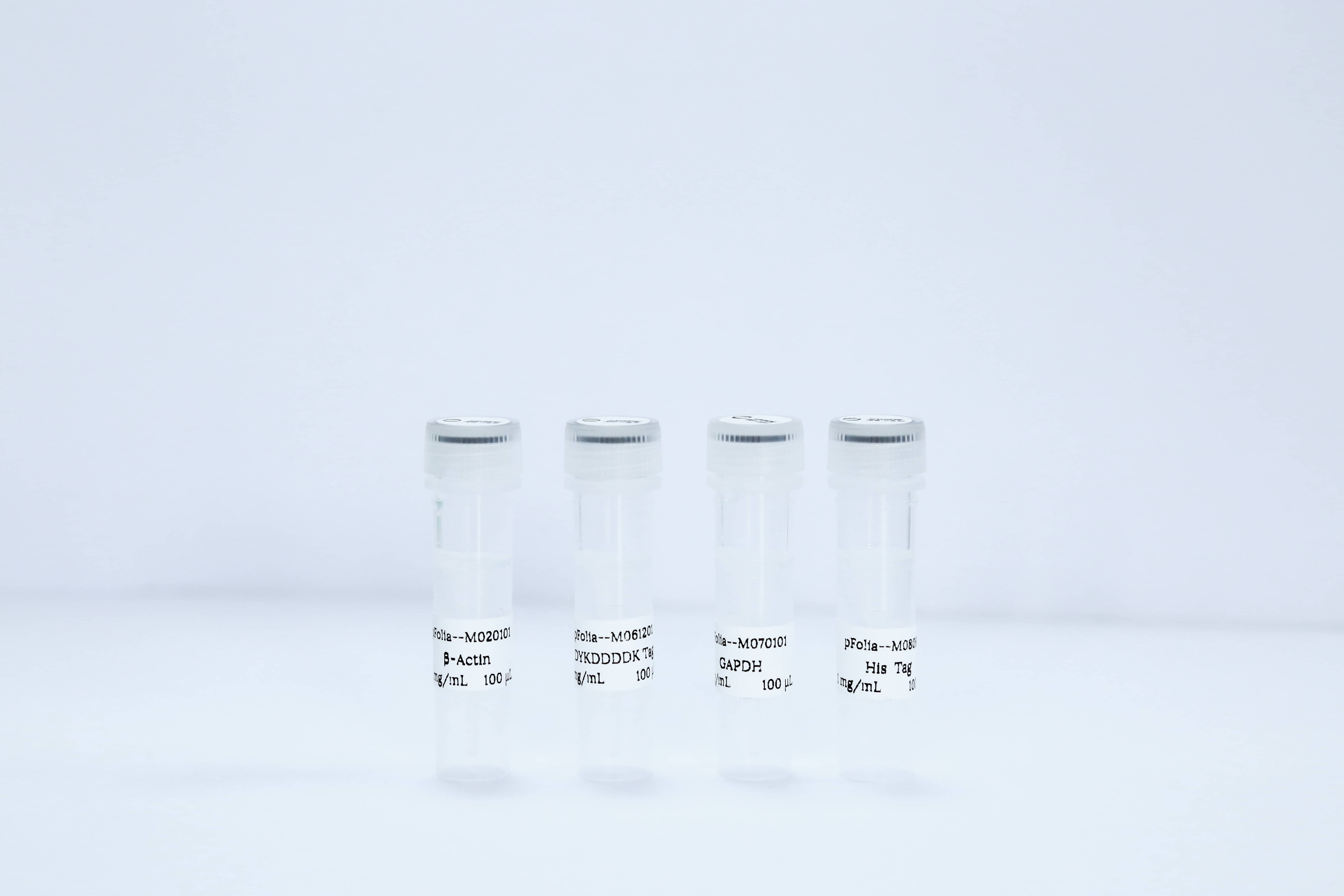 植物源单克隆抗体